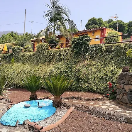 Los Dragos La Orotava