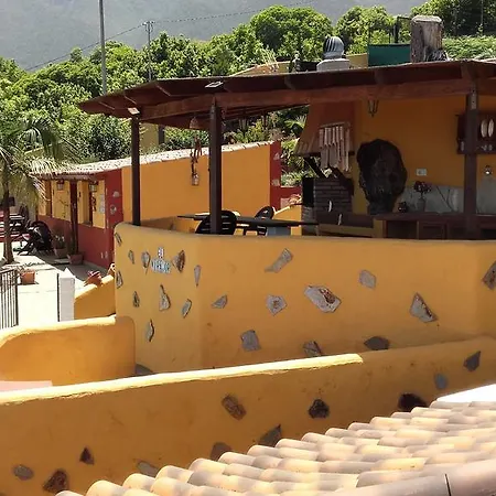 Los Dragos La Orotava